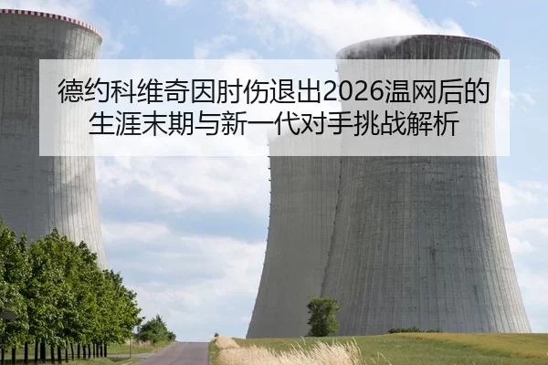 德约科维奇因肘伤退出2026温网后的生涯末期与新一代对手挑战解析
